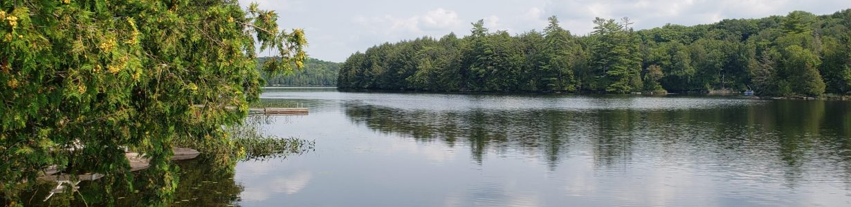 20210820_141144 20210820_141144